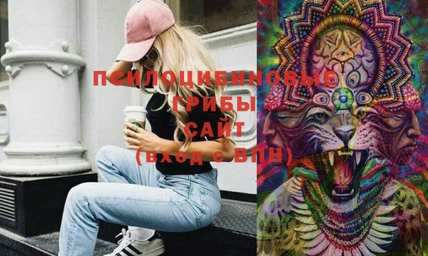 амф Абаза