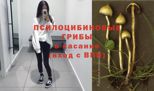 соль курить ск Алексеевка